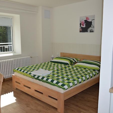 Penzion Havelka Apartmany Zelezna Ruda Exterior photo