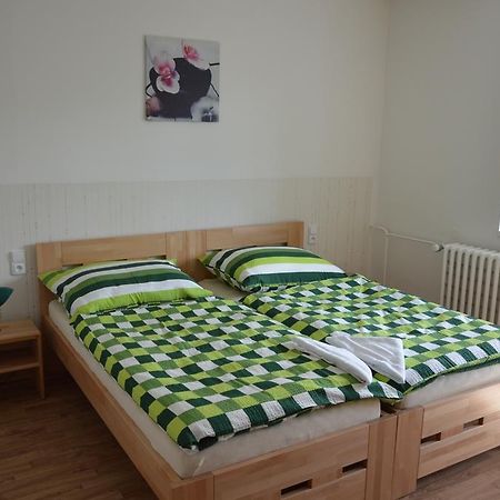Penzion Havelka Apartmany Zelezna Ruda Exterior photo