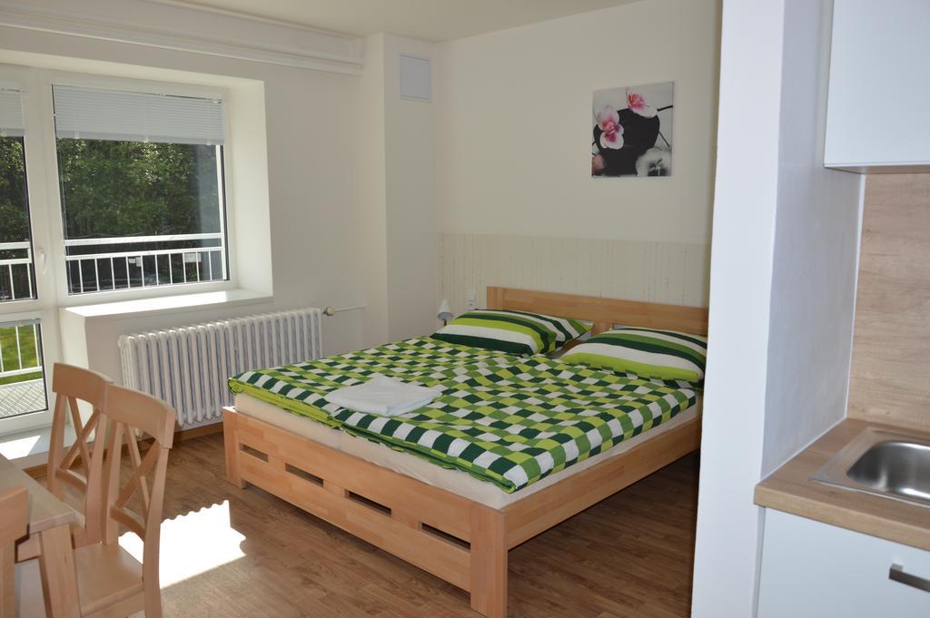 Penzion Havelka Apartmany Zelezna Ruda Exterior photo