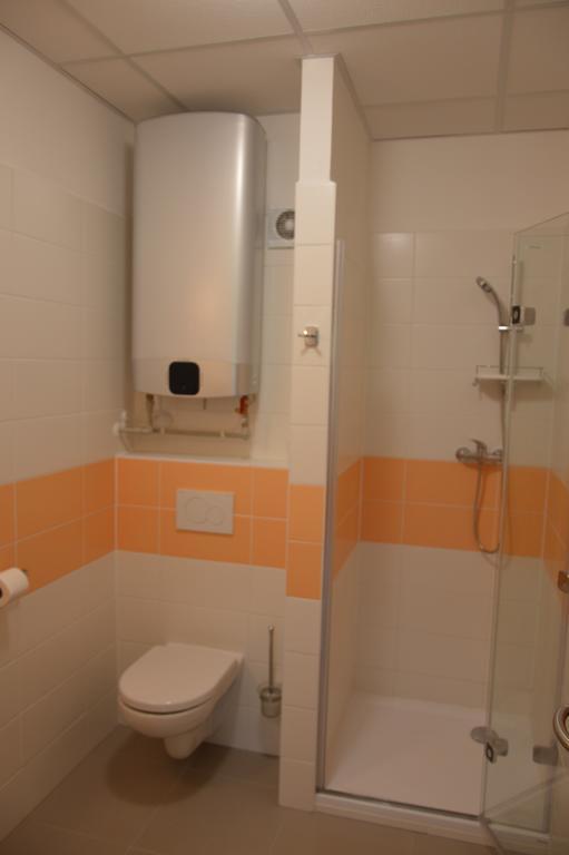 Penzion Havelka Apartmany Zelezna Ruda Exterior photo